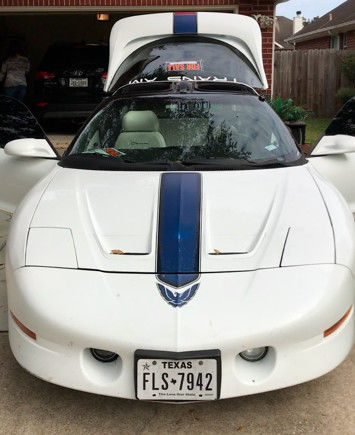 1994 Pontiac Firebird Trans Am - photo 5