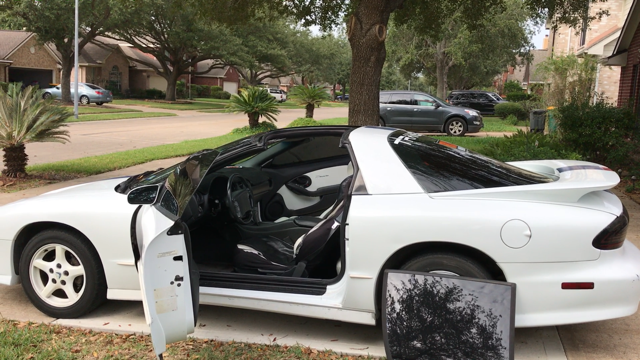 1994 Pontiac Firebird Trans Am - photo 9