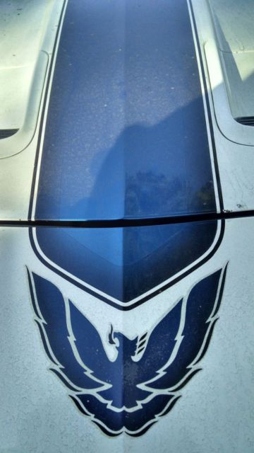 25th Anniversary Trans Am 1994 Pontiac Trans Am 25th Anniversary