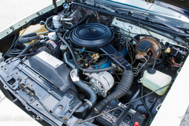1981 Oldsmobile Cutlass 93K Original Miles - photo 13
