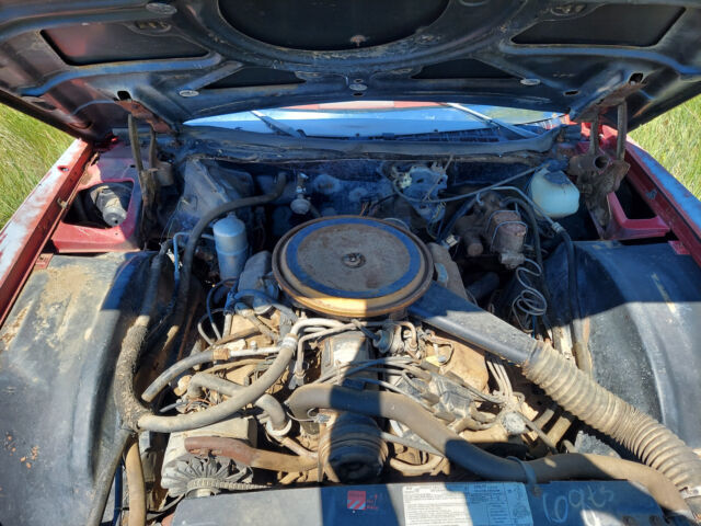 1977 Cadillac Eldorado - photo 5