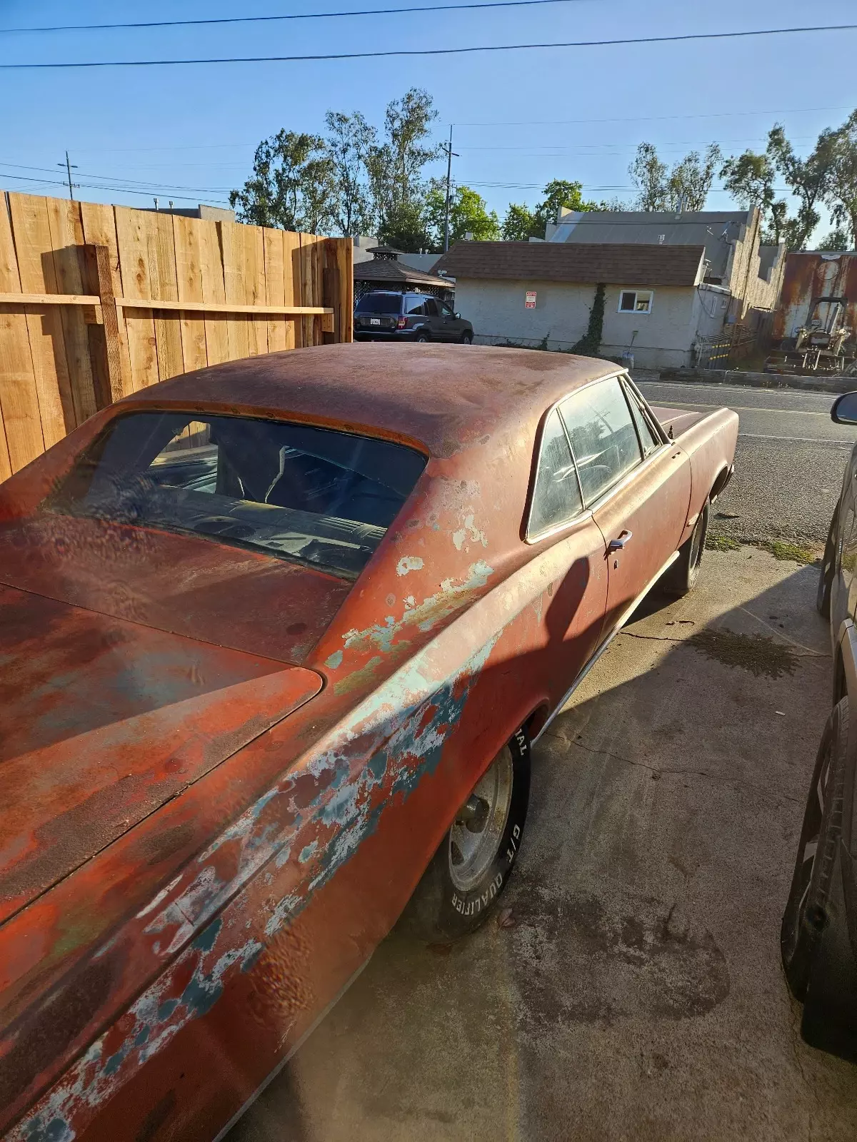 1966 Pontiac GTO GTO/MATCHING NUMBERS 389 TRI-POWERED - photo 4