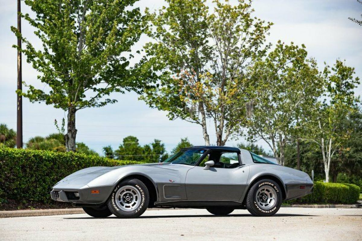 1978 Chevrolet Corvette Silver Anniversary - photo 2