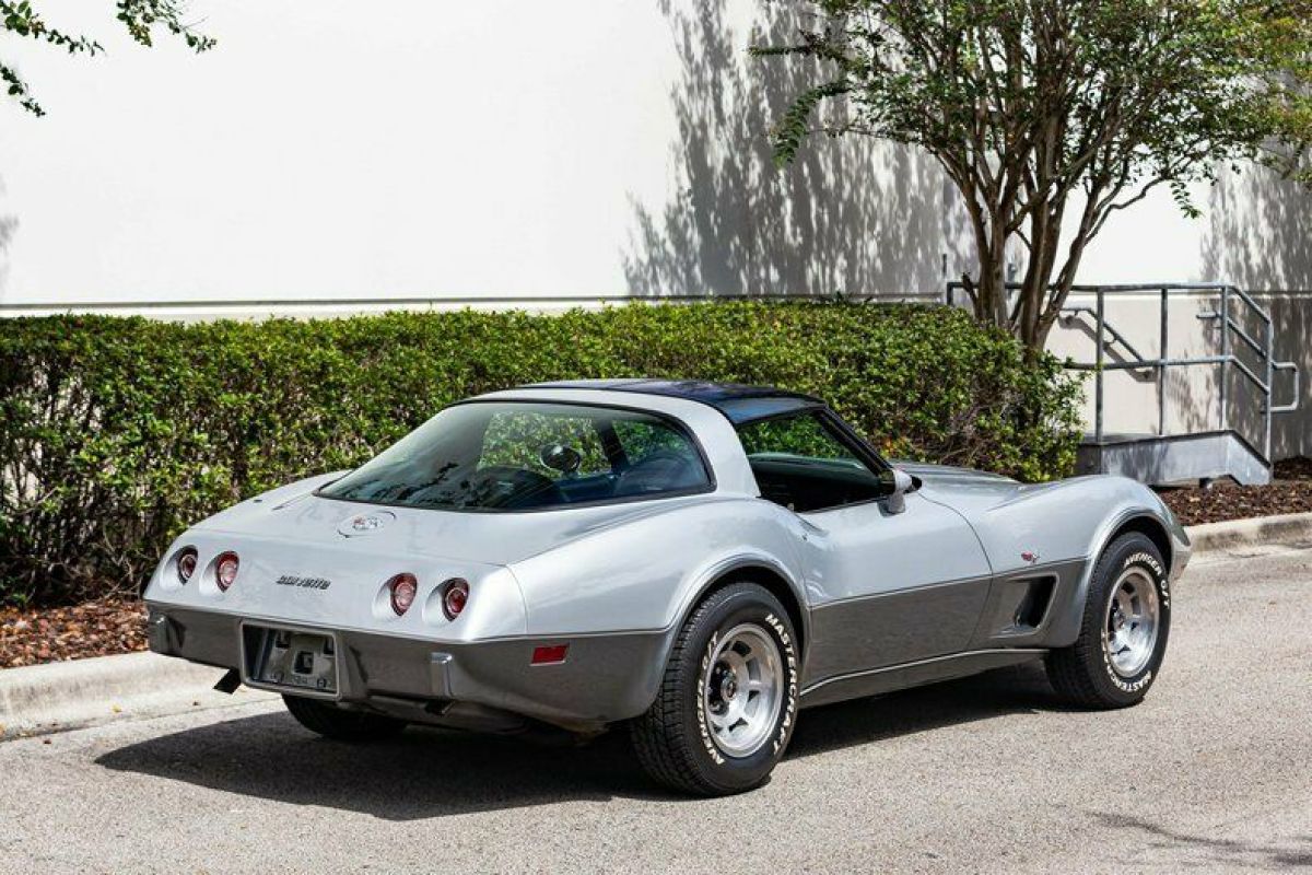 1978 Chevrolet Corvette Silver Anniversary - photo 7