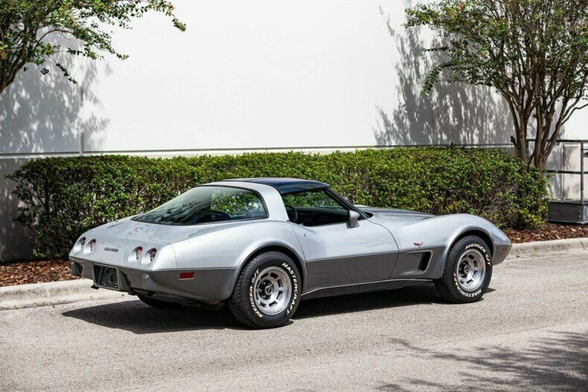 1978 Chevrolet Corvette Silver Anniversary - photo 8