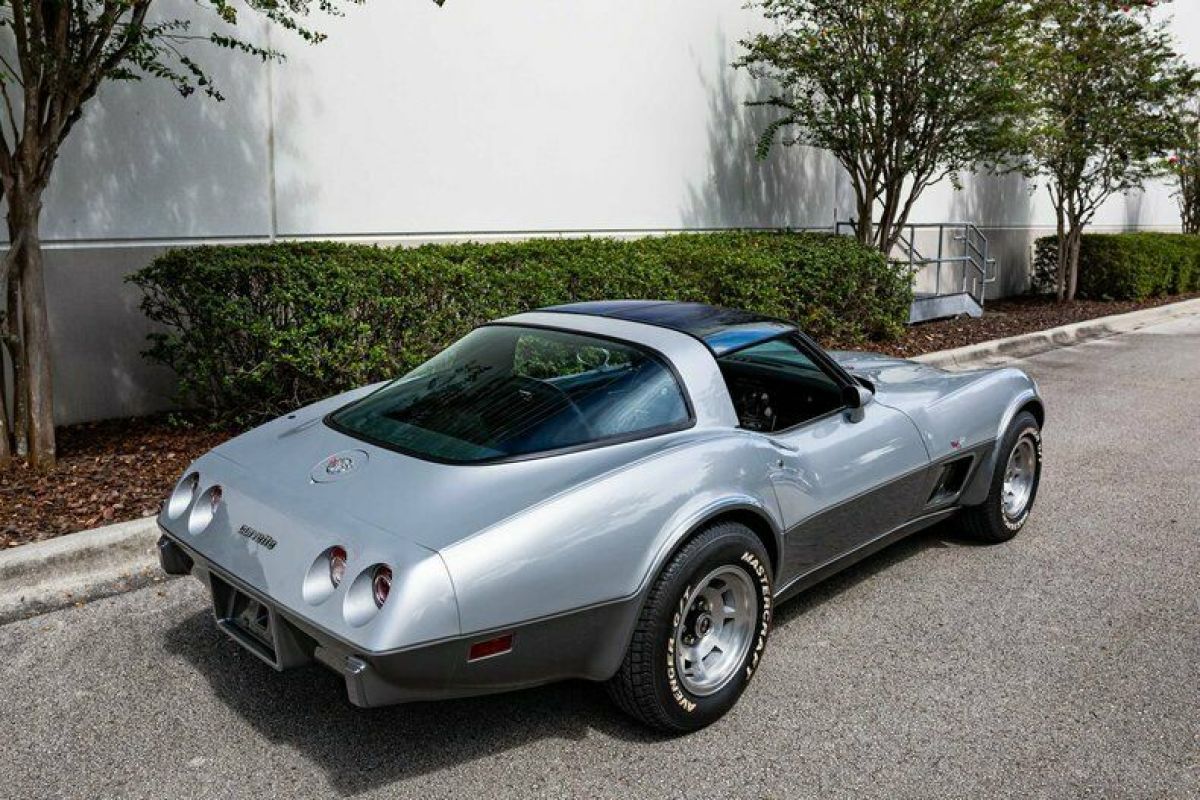 1978 Chevrolet Corvette Silver Anniversary - photo 9