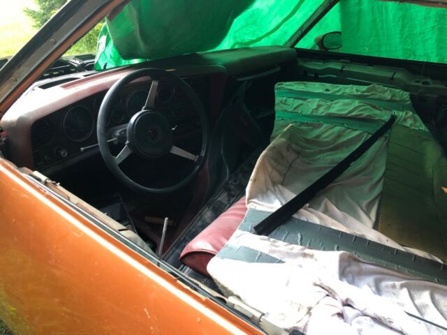 1977 Pontiac Le Mans Can Am - photo 10