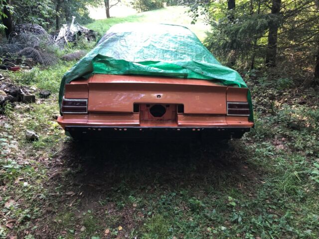 1977 Pontiac Le Mans Can Am - photo 12