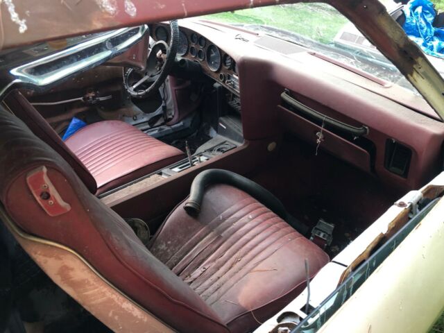 1977 Pontiac Le Mans Can Am - photo 9