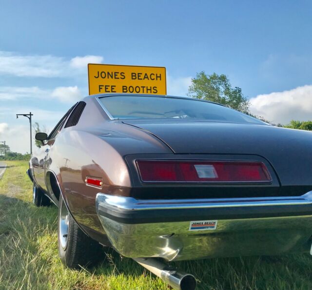 1973 Pontiac Le Mans - photo 10