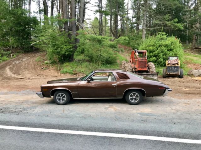 1973 Pontiac Le Mans - photo 3