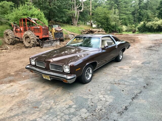1973 Pontiac Le Mans - photo 5