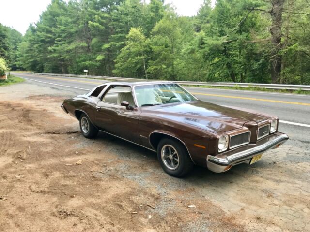 1973 Pontiac Le Mans - photo 6