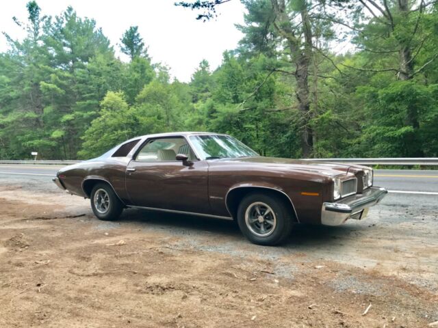 1973 Pontiac Le Mans - photo 7