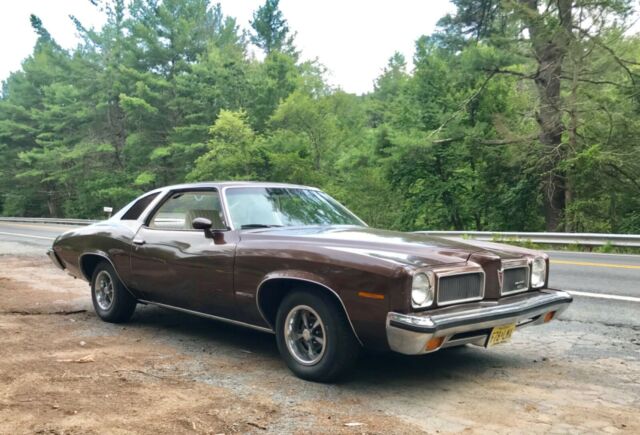 1973 Pontiac Le Mans - photo 8
