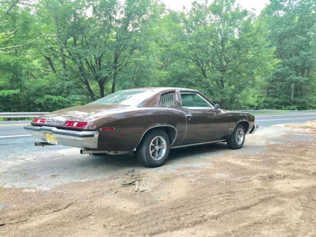 1973 Pontiac Le Mans - photo 9