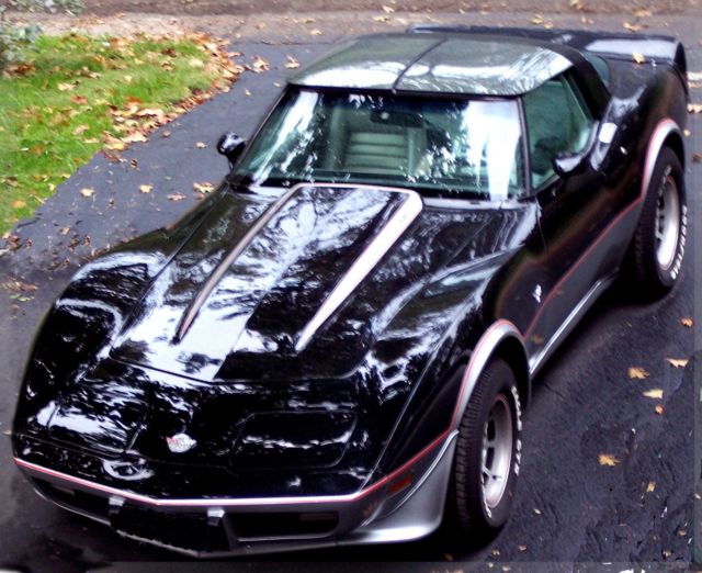 1978 Chevrolet Corvette Pace car black over silver - photo 8
