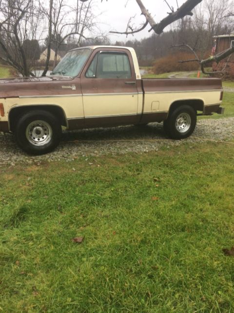 1979 Chevrolet C-10 Silverado - photo 2