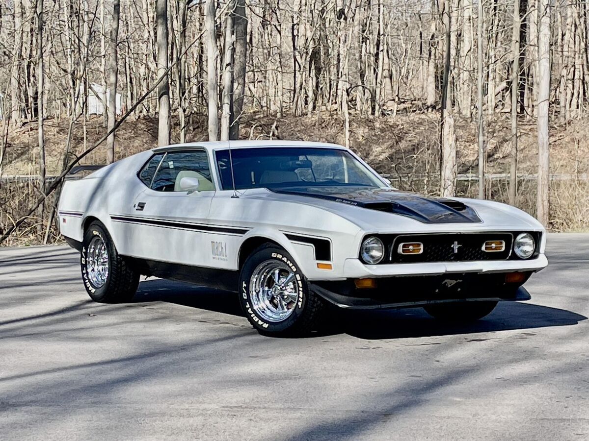 1971 Ford Mach 1 Mustang Bucket Seats Priced to Sell - photo 3