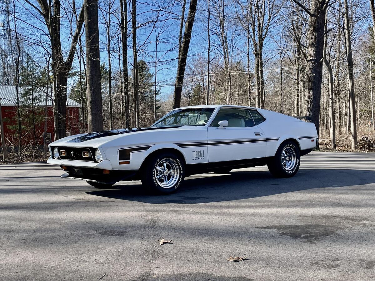 1971 Ford Mach 1 Mustang Bucket Seats Priced to Sell - photo 9