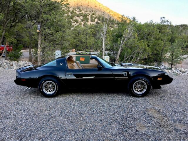 35,449 Original Miles. 100% original paint. All Numbers Matching. 1 Owner 1981 Pontiac Trans Am