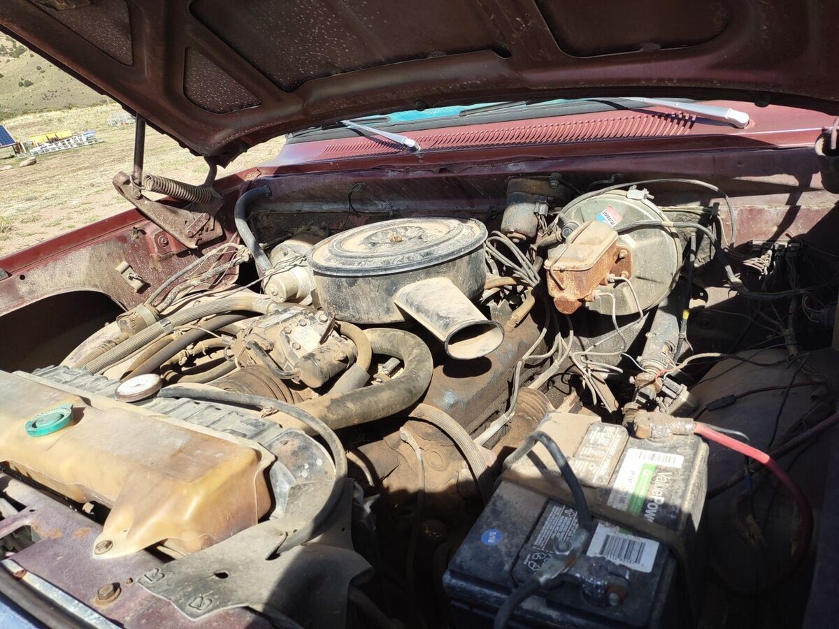1977 Dodge Other Pickups - photo 5