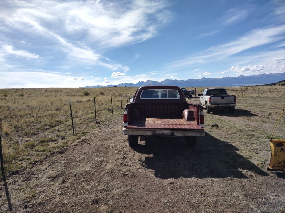 1977 Dodge Other Pickups - photo 8