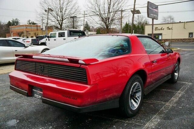 1984 Pontiac Trans Am - photo 4