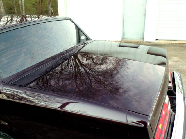1987 Buick Grand National Turbo T TYPE REGAL GRAND NATIONAL W02 GNX WE4 WE2 - photo 13