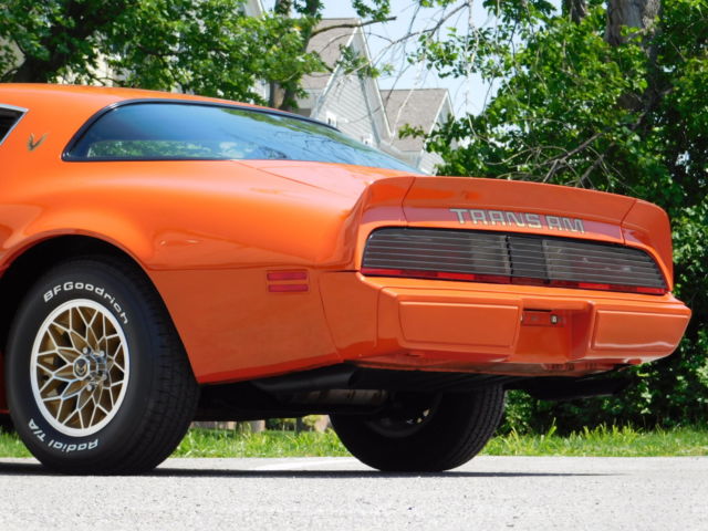 1980 Pontiac Trans Am - photo 11