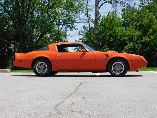 1980 Pontiac Trans Am - photo 13