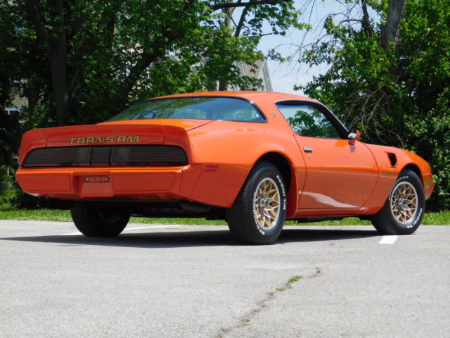 1980 Pontiac Trans Am - photo 4