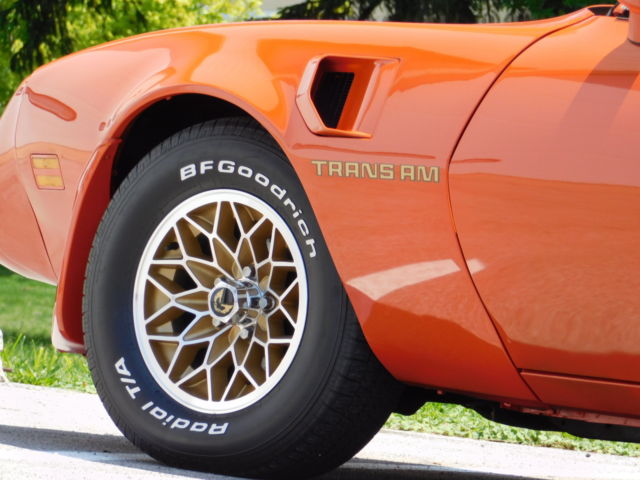 1980 Pontiac Trans Am - photo 8