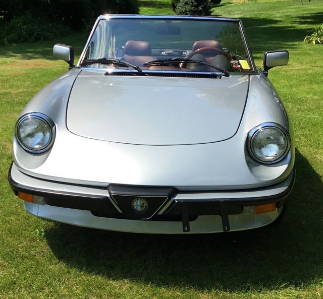 1985 Alfa Romeo Spider Veloce - photo 7