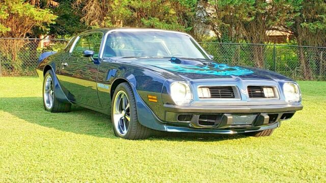 1975 Pontiac Trans Am - photo 5