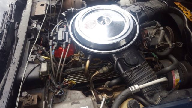 1981 Chevrolet Corvette - photo 10