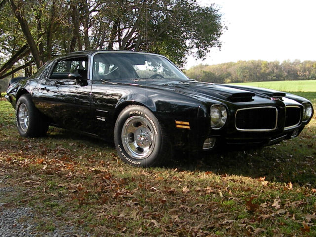 1971 Pontiac Firebird Formula 400 - photo 7
