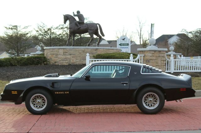 4 Speed-Hurst-400 Engine-Air Conditioning-Rare Starlite Black-Good driver 1976 Pontiac Firebird Trans Am