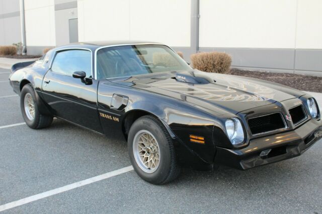 1976 Pontiac Firebird Trans Am - photo 10