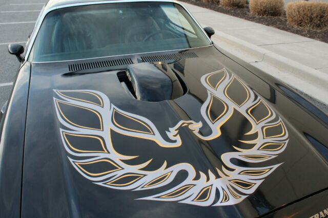 1976 Pontiac Firebird Trans Am - photo 11