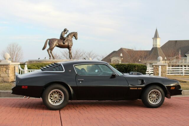 1976 Pontiac Firebird Trans Am - photo 2