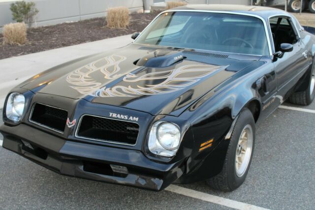 1976 Pontiac Firebird Trans Am - photo 5