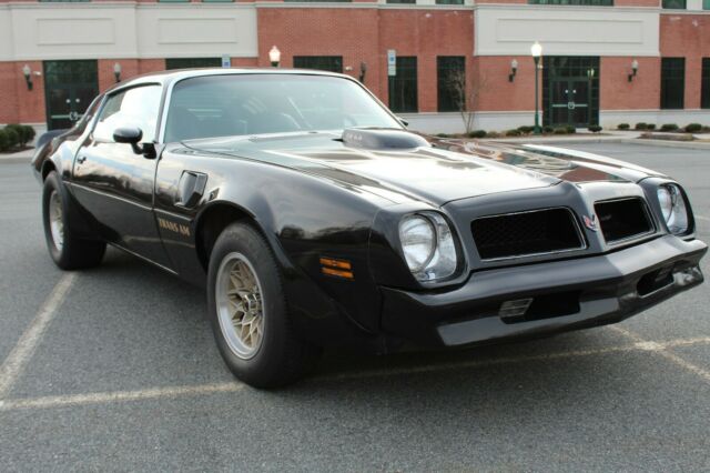 1976 Pontiac Firebird Trans Am - photo 6