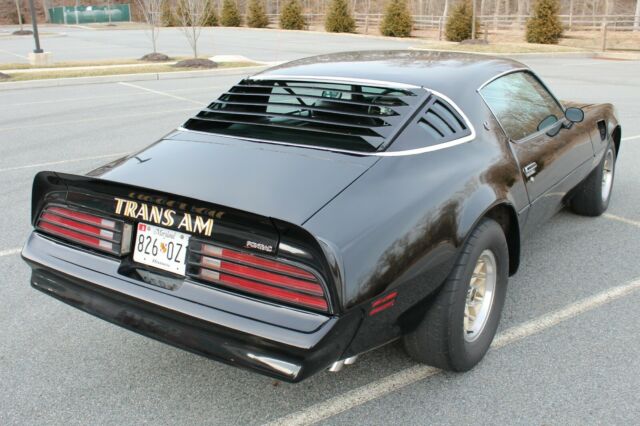 1976 Pontiac Firebird Trans Am - photo 8