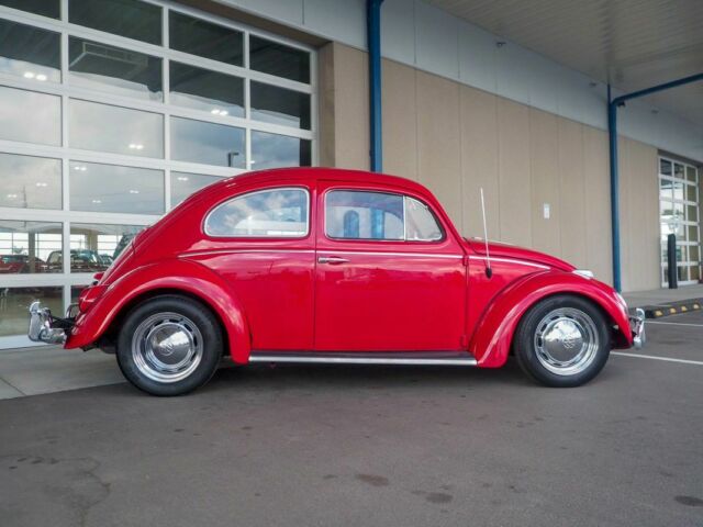 1964 Volkswagen Bug Recently Restored - photo 12