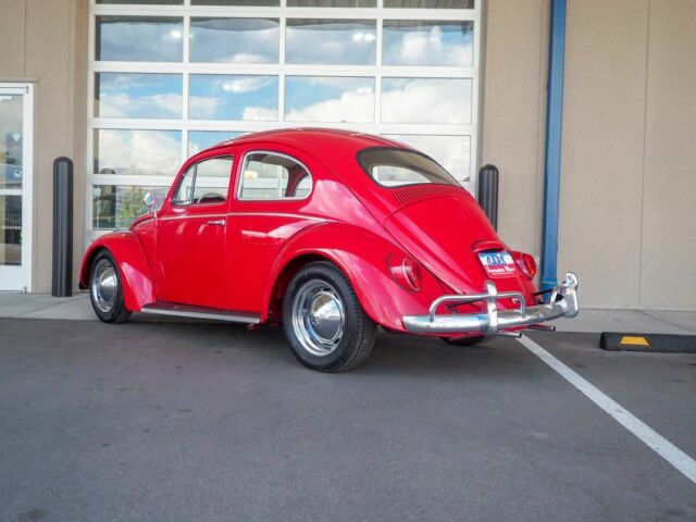 1964 Volkswagen Bug Recently Restored - photo 2