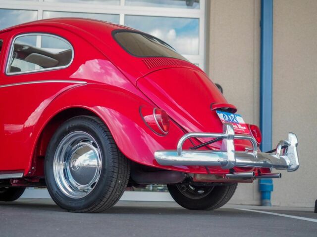 1964 Volkswagen Bug Recently Restored - photo 4