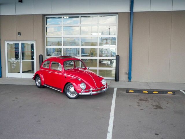 1964 Volkswagen Bug Recently Restored - photo 5