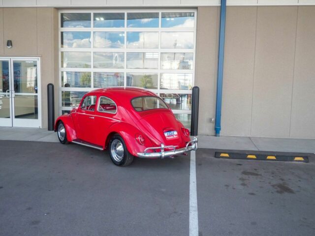 1964 Volkswagen Bug Recently Restored - photo 6