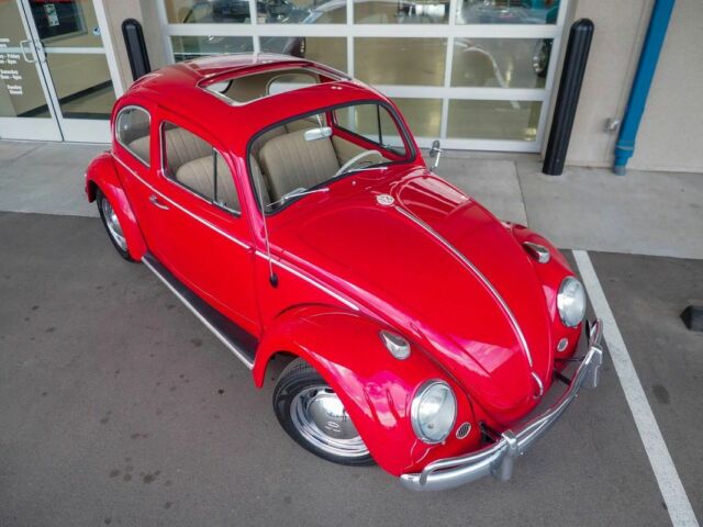 1964 Volkswagen Bug Recently Restored - photo 7